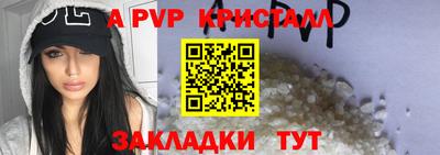 соль ск Сланцы